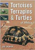 Tortoises, Terrapins & Turtles of Africa