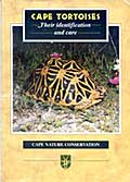 Cape tortoises: Their identification and care