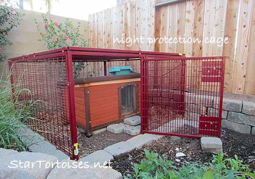 predator protection cage / enclosure cover for nights