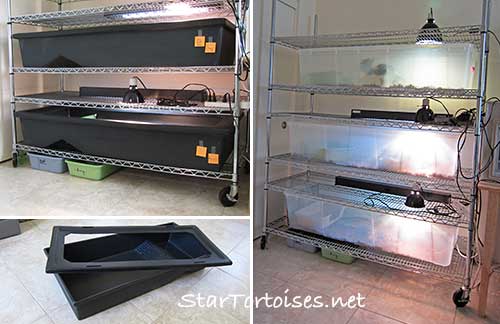 stacking tortoise tubs