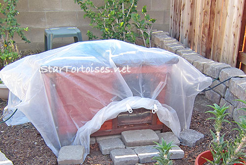 insulated and heated outdoor tortoise house