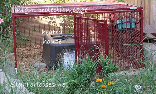 predator proof night cage pen