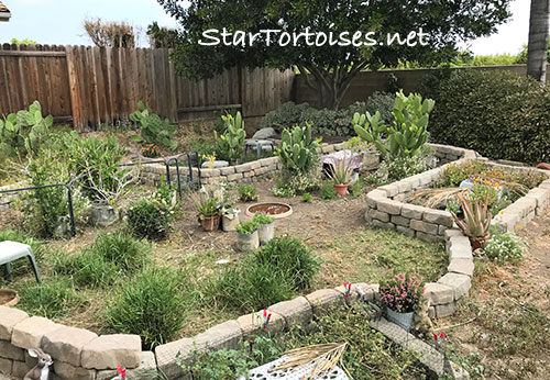 outdoor stone block tortoise enclosures